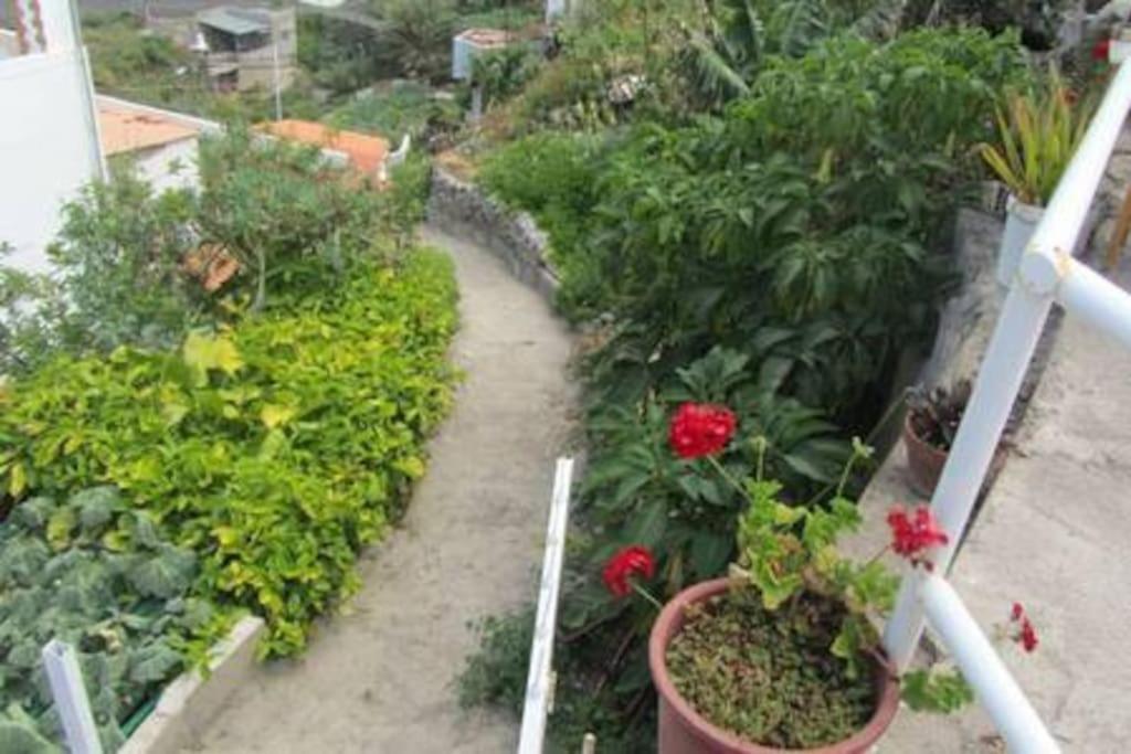 House Rural,Biosphere Reserve World.Taganana.Tfe. Santa Cruz de Tenerife Exterior photo